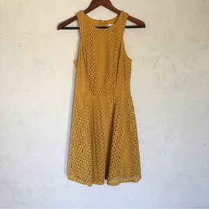 Xhilaration Crochet Lace Fit and Flare Dress Size M
